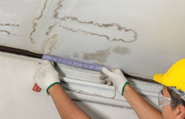 Reliable Water Damage contractor in Starbuck, MN by Water Damage Irwin